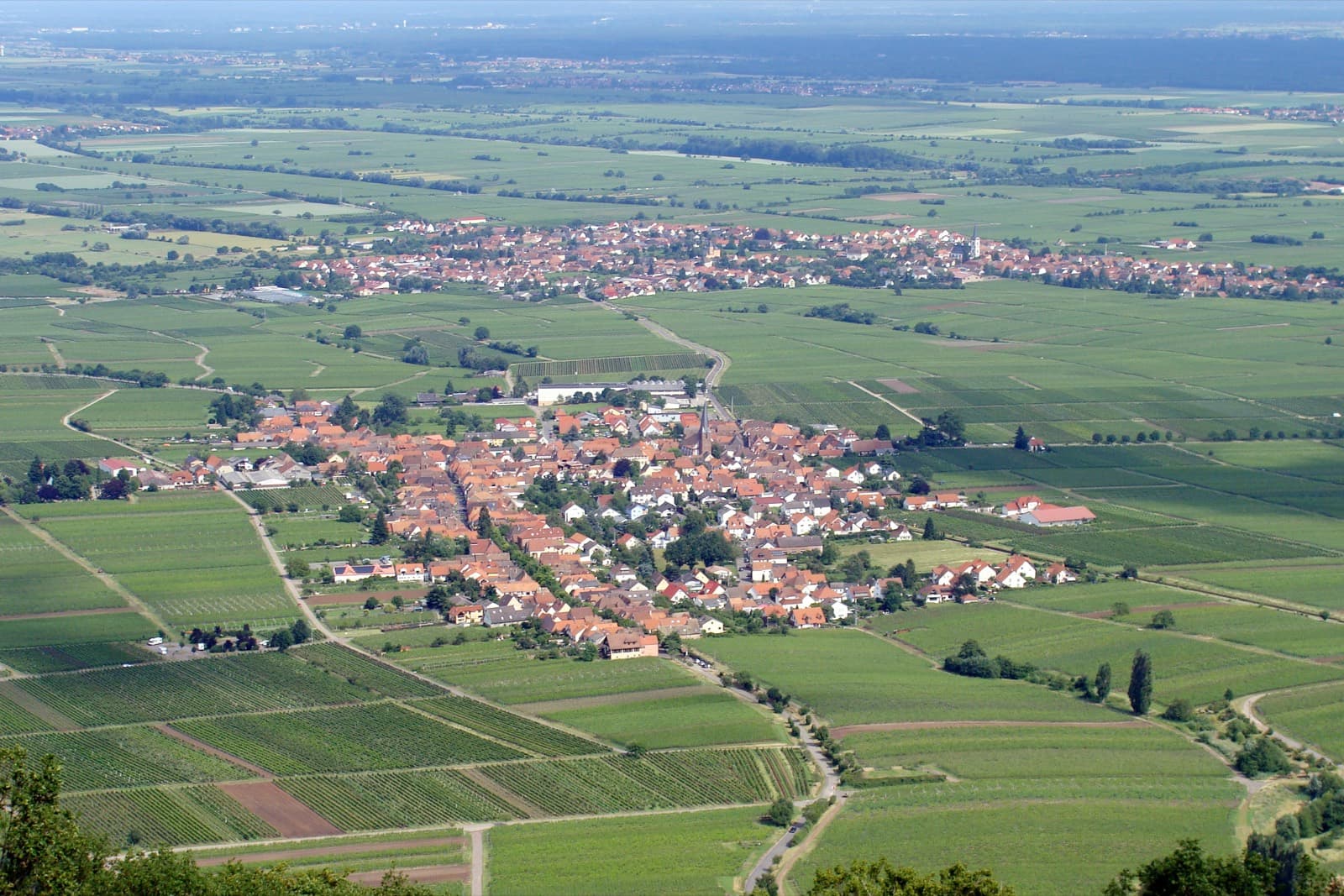 Luftaufnahme von Rhodt unter Rietburg inmitten der Weinberge der Südlichen Weinstraße